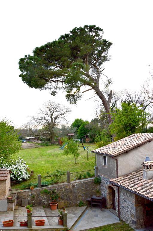 Agriturismo Tenuta Buon Respiro Orvieto Exterior photo